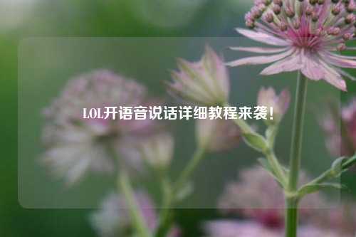 LOL开语音说话详细教程来袭!
