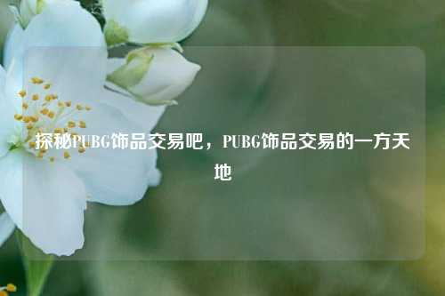探秘PUBG饰品交易吧,PUBG饰品交易的一方天地