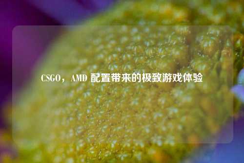 CSGO，AMD 配置带来的极致游戏体验