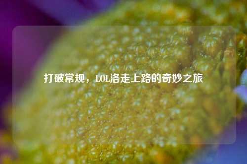 打破常规,LOL洛走上路的奇妙之旅