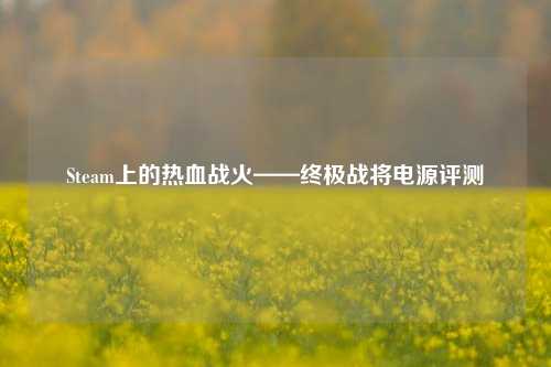Steam上的热血战火——终极战将电源评测