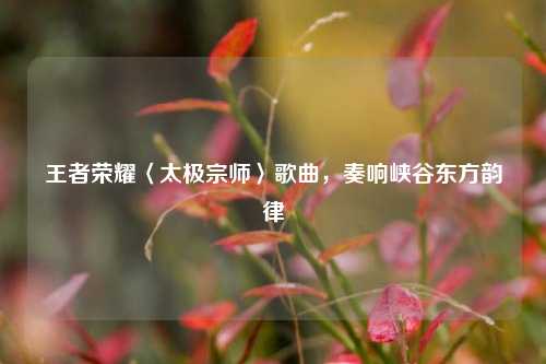 王者荣耀〈太极宗师〉歌曲,奏响峡谷东方韵律