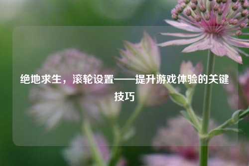 绝地求生，滚轮设置——提升游戏体验的关键技巧