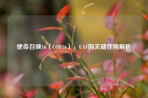 使命召唤16(COD16),UAV的关键作用解析