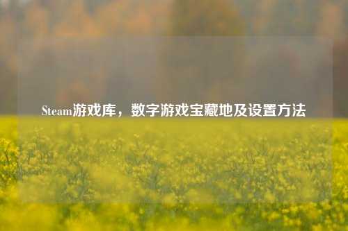 Steam游戏库,数字游戏宝藏地及设置