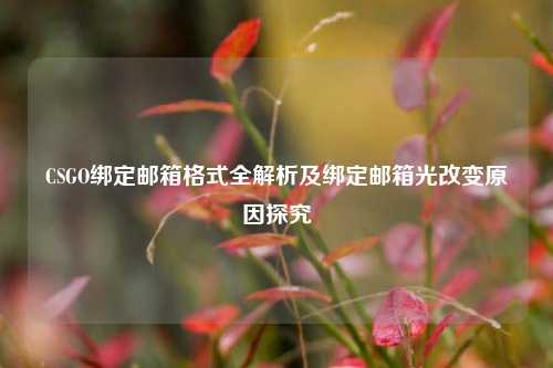 CSGO绑定邮箱格式全解析及绑定邮箱光改变原因探究