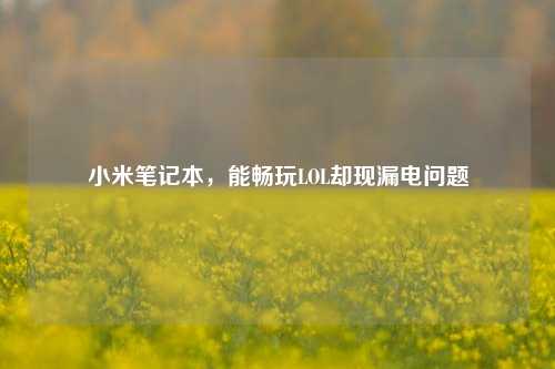 小米笔记本,能畅玩LOL却现漏电问题