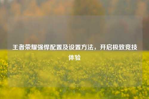 王者荣耀强悍配置及设置 ,开启极致竞技体验