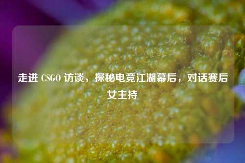 走进 CSGO 访谈，探秘电竞江湖幕后，对话赛后女主持