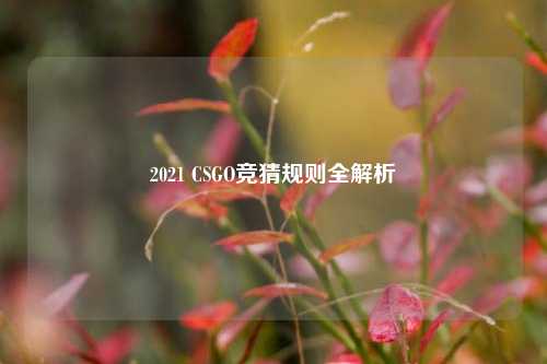 2021 CSGO竞猜规则全解析