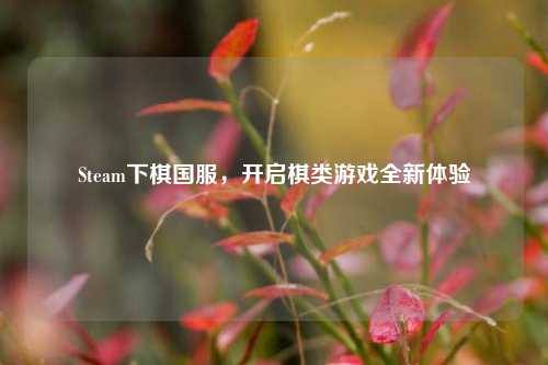 Steam下棋国服,开启棋类游戏全新体验