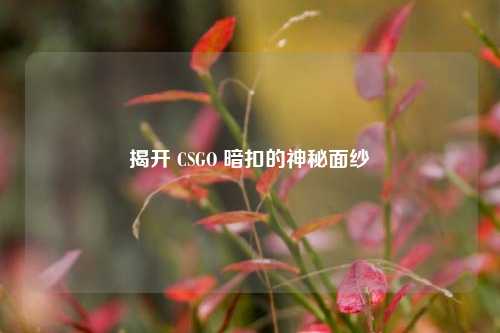揭开 CSGO 暗扣的神秘面纱