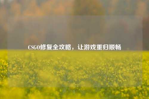CSGO修复全攻略,让游戏重归顺畅