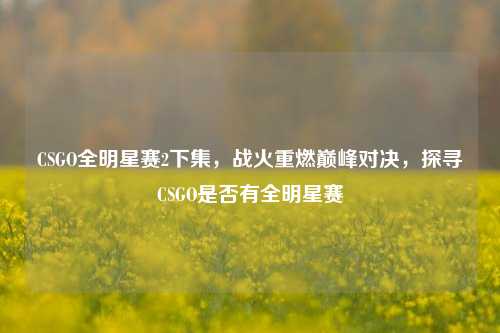 CSGO全明星赛2下集,战火重燃巅峰对决,探寻CSGO是否有全明星赛