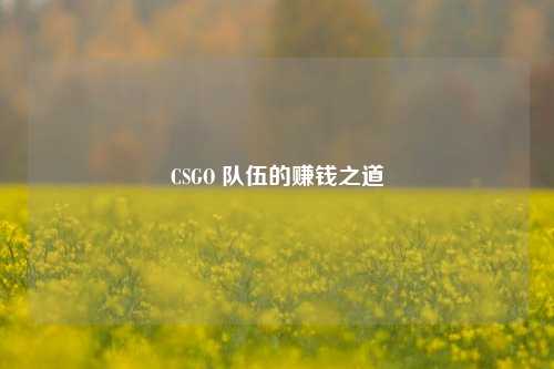 CSGO 队伍的赚钱之道