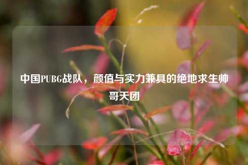 中国PUBG战队,颜值与实力兼具的绝地求生帅哥天团