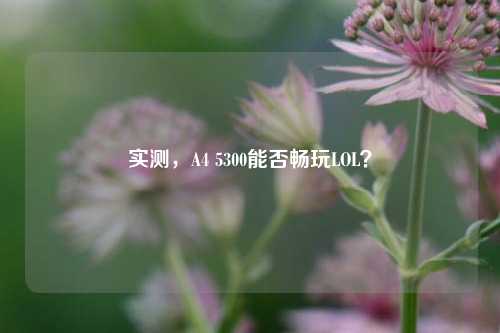 实测,A4 5300能否畅玩LOL?