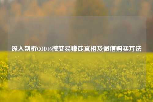 深入剖析COD16微交易赚钱真相及微信购买