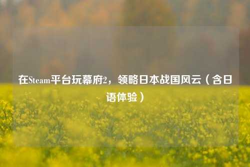 在Steam平台玩幕府2,领略日本战国风云(含日语体验)