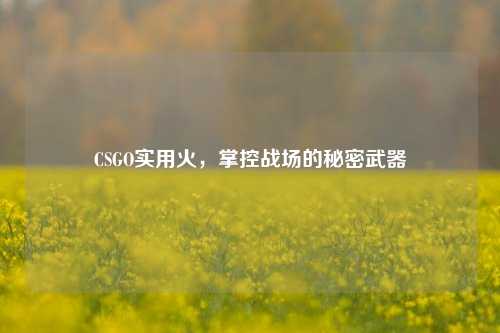 CSGO实用火，掌控战场的秘密武器