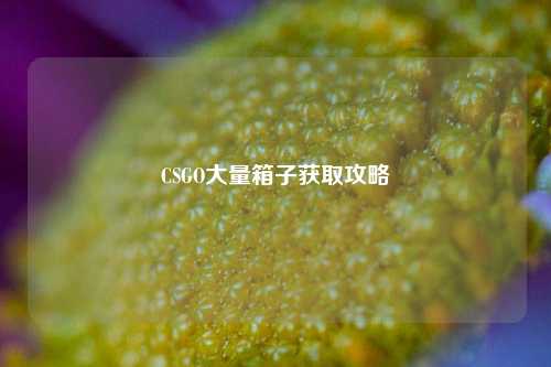 CSGO大量箱子获取攻略