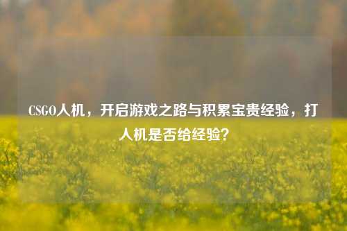 CSGO人机,开启游戏之路与积累宝贵经验,***机是否给经验?