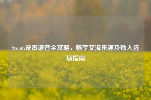Steam设置语音全攻略,畅享交流乐趣及输入选项指南