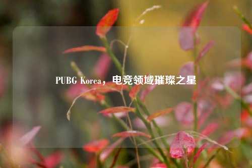 PUBG Korea,电竞领域璀璨之星