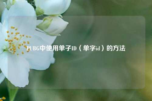 PUBG中使用单子ID(单字id)的