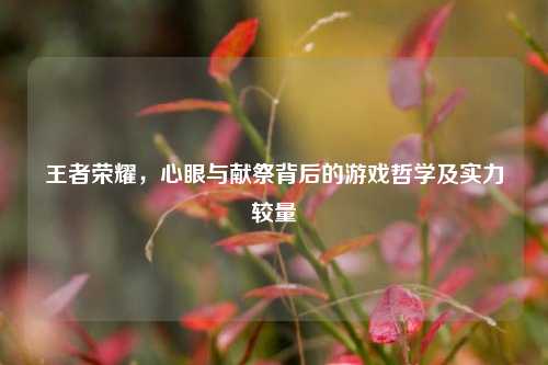 王者荣耀,心眼与献祭背后的游戏哲学及实力较量