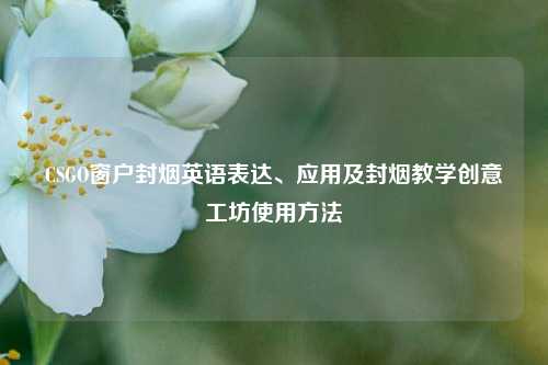 CSGO窗户封烟英语表达、应用及封烟教学创意工坊使用