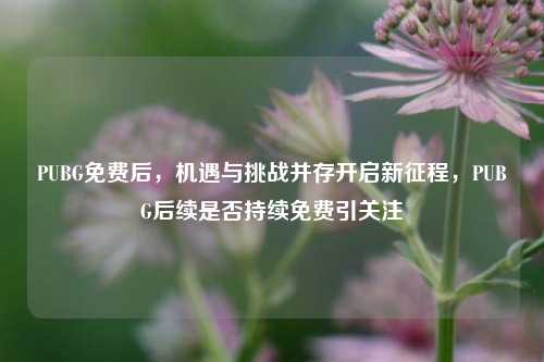 PUBG免费后,机遇与挑战并存开启新征程,PUBG后续是否持续免费引关注