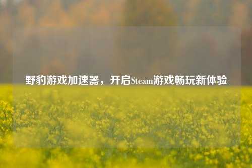 野豹游戏加速器,开启Steam游戏畅玩新体验