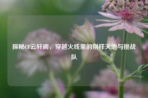探秘CF云轩阁,穿越火线里的别样天地与挑战队