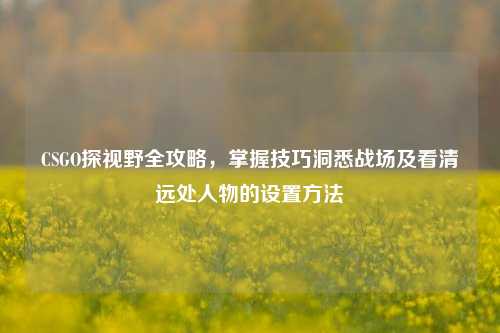 CSGO探视野全攻略,掌握技巧洞悉战场及看清远处人物的设置