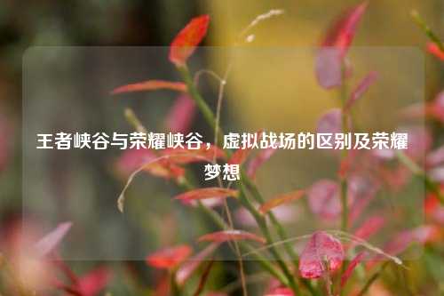 王者峡谷与荣耀峡谷,虚拟战场的区别及荣耀梦想