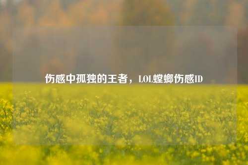 伤感中孤独的王者,LOL螳螂伤感ID