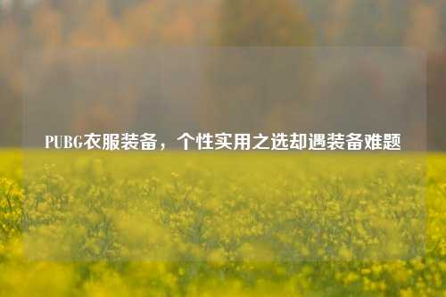 PUBG衣服装备,个性实用之选却遇装备难题