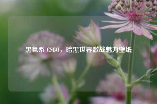 黑色系 CSGO,暗黑世界激战魅力壁纸
