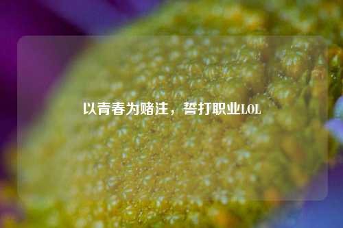 以青春为赌注，誓打职业LOL