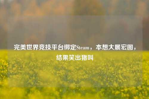 完美世界竞技平台绑定Steam，本想大展宏图，结果笑出猪叫
