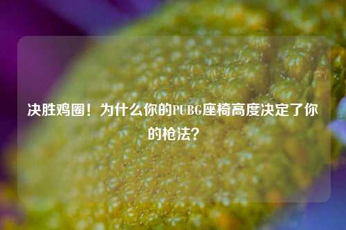 决胜鸡圈！为什么你的PUBG座椅高度决定了你的枪法？
