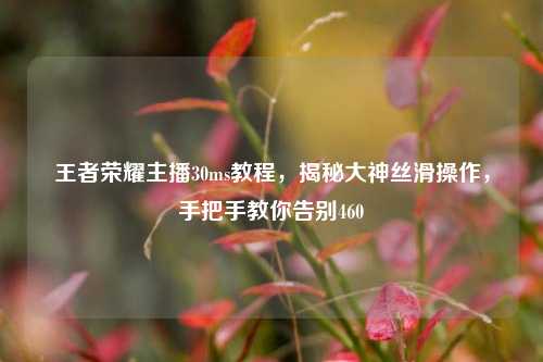 王者荣耀主播30ms教程，揭秘大神丝滑操作，手把手教你告别460