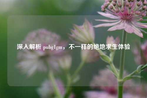 深入解析 pubg1gm，不一样的绝地求生体验