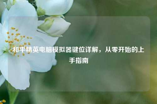 和平精英电脑模拟器键位详解，从零开始的上手指南