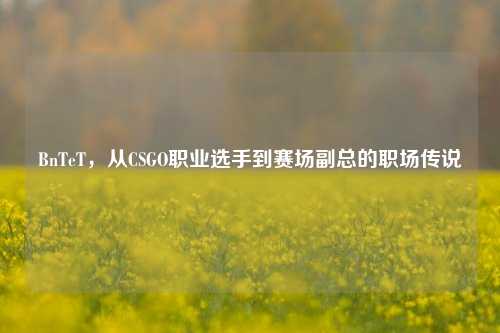 BnTeT，从CSGO职业选手到赛场副总的职场传说