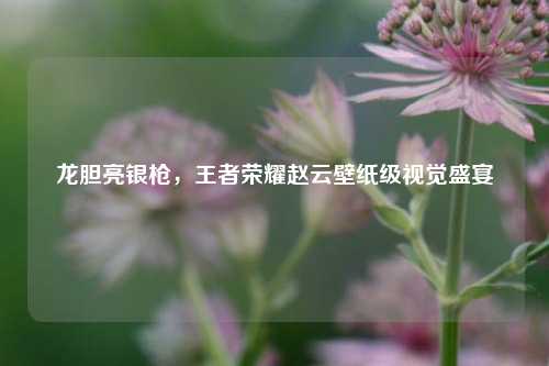 龙胆亮银枪，王者荣耀赵云壁纸级视觉盛宴