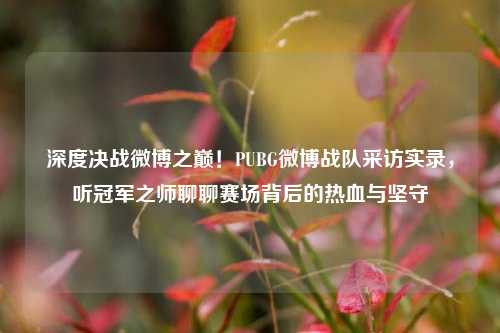 深度决战微博之巅！PUBG微博战队采访实录，听冠军之师聊聊赛场背后的热血与坚守