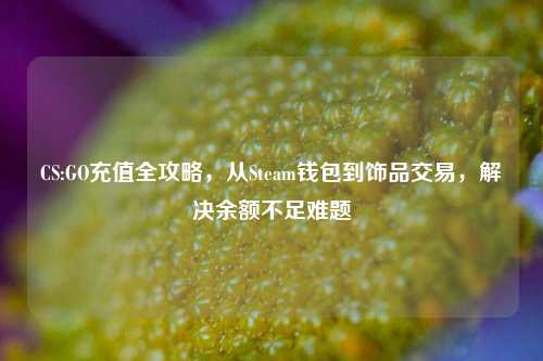 CS:GO充值全攻略，从Steam钱包到饰品交易，解决余额不足难题