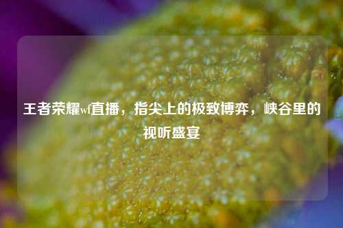 王者荣耀wf直播，指尖上的极致博弈，峡谷里的视听盛宴